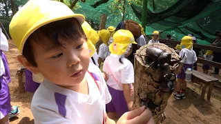 Opening in July: Meet the "King of Insects" at Yumemigaoka