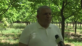 Ժիրայր Աբրահամյան