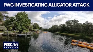 Advocacy groups continue fight against alligator alcatraz