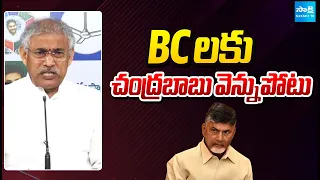 BCలకు చంద్రబాబు వెన్నుపోటు | Chelluboyina Comments On Chandrababu | Sakshi TV