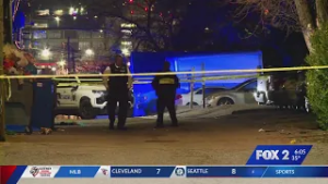 Person found dead from shooting in alley in south St. Louis