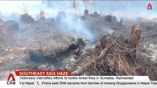 Haze is choking parts of Southeast Asia as wildfires continue to spread in Indonesia
