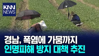 Gyeongnam Province Implements Emergency Measures for Heatwave and Drought / KNN