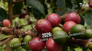 2026: The most difficult year for Colombian agriculture - TvAgro by Juan Gonzalo Angel