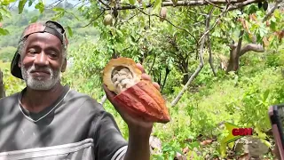 GDB Financing for Agriculture