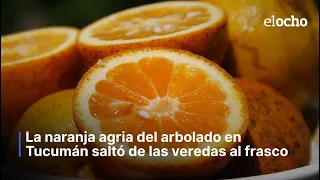 THE SOUR ORANGE JUMPED FROM THE SIDEWALKS INTO THE JAR