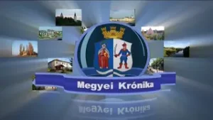 Megyei Krónika 29. évfolyam 2. szám