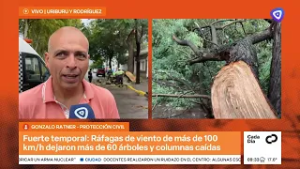 Ráfagas de viento de más de 100 km/h y 60 reclamos por árboles y columnas caídas