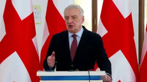 გვყავს მტრები, რომლებიც საქართველოს ნგრევას უქადიან და ამ მტრებს მხარს შიდა მტრები უჭერენ - ვოლსკი