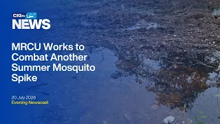 MRCU Works to Combat Another Summer Mosquito Spike | Monday 20 July | CIGtv News