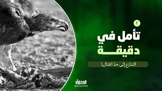 تأمل في دقيقة - 2 - التنازع إلى حدّ القتال!