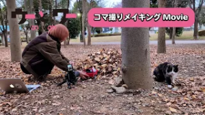 【コマ撮りメイキング11】ウーとワーとドライブする？【WOWOW】