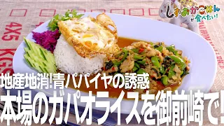 [Omaezaki City - Tiny] Authentic flavors with a street food vibe! Crispy local green papaya salad...