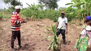 Agabuutikidde Endooliito ku ttaka Munnamagye agugulana n'abatuuzeyayerudde  empedde ku bibanja byabw