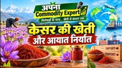 Apna Commodity Expert