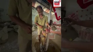 Akhil Gogoi |একাঁঠু বোকাত মণিকূটৰ দুৱাৰ খুলি আপুৰুগীয়া সম্পদবোৰ উলিয়াই আনিলে বিধায়ক অখিল গগৈয়ে N18S