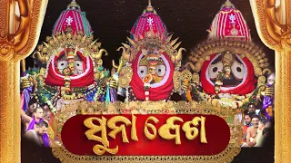 ମହାପ୍ରଭୁଙ୍କ ଦିବ୍ୟ "ସୁନା ବେଶ" / ରାଜରାଜେଶ୍ୱର ବେଶ! 👑✨ | PROMO
