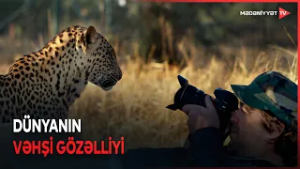 Təbiətin sirlərini kadrla kəşf et