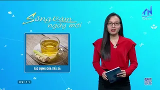 Healthcare – Benefits of Lemongrass Tea