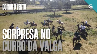 SURPRISE at the VALGA WORKPLACE | TAMING THE WIND