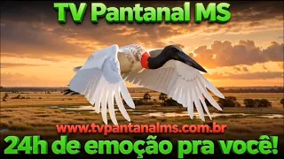 VINHETA 17 ANO 2026