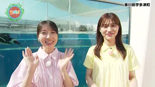 【ゆ～ばら！】夏休みお出かけ企画！香川県・四国水族館へ！Part2【「潜入！海の有毒生物研究所」】