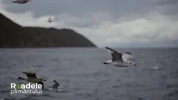 Lacul Baikal, cel mai adânc din lume #roadelepamantului