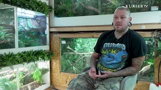 This man lives with 85 reptiles – including venomous snakes