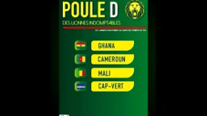 FOOTBALL : LES LIONNES SÉNIOR SANS ENTRAÎNEUR À UN MOIS DE LA CAN