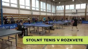 Stolný tenis v rozkvete