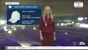 A Few Light Scattered Showers Possible