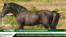 75 ГОДИНИ БЪЛГАРСКО КОНЕВЪДСТВО: На 18 октомври – мащабно събитие в Южния парк в София