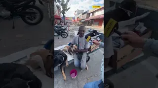No los dejó atrás: La conmovedora historia del hombre que protegió a sus cuatro perros