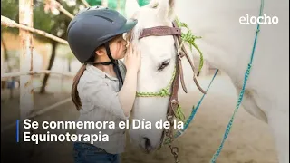 COMMEMORATING EQUINE THERAPY DAY