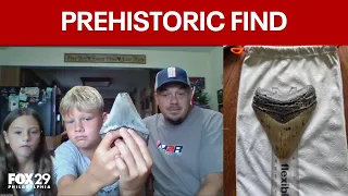 Pennsylvania family makes prehistoric discovery while searching for seashells on the Jersey Shore