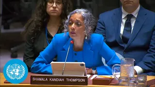Working methods of the Security Council - Briefing | United Nations