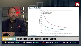 Experten: ”Vi har ett krig som kommer att vara utdraget”