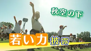 "Young Power" Born in 1947: A Sports Tradition Carried on by Kanazawa's Children for Nearly 80 Ye...