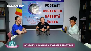 Cazuri și necazuri / Adăpostul inimilor – Poveștile străzilor