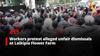 Workers Protest Alleged Unfair Dismissals at Laikipia Flower Farm