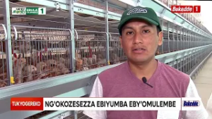 Давайте обсудим это. Строительство современных птичников, которые прослужат 20 лет.