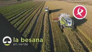 Buenas cifras en el cooperativismo extremeño | La Besana en Verde