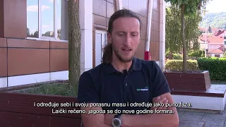 VISOČKI AGRONOM OMER OMERBEGOVIĆ