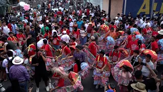 Vacas Culonas celebrate 33 years of tradition at the Santo Domingo festivities