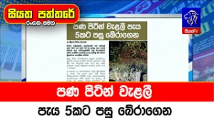පණ පිටින් වැළලී පැය 5කට පසු බේරාගෙන