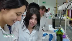 Innovation and development in the use of products derived from algae