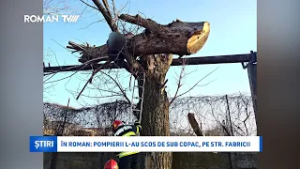 În Roman: pompierii l-au scos de sub copac, pe str. Fabricii (video)