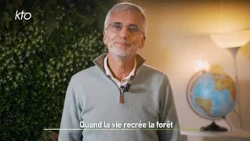 Quand la vie recrée la forêt