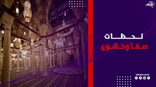 لحظات صفا وخشوع .. صلاة الفجر من مسجد السيدة زينب