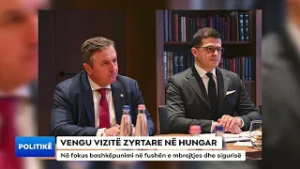 VENGU VIZITË ZYRTARE NË HUNGARI/ Në fokus bashkëpunimi në fushën e mbrojtjes dhe sigurisë